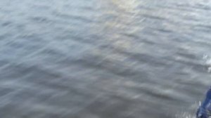 Сравнение двух лодок  Ривьера 360 Компакт Под моторами  Хайди 9.9 Эндуро и Гладиатором 9.9 Про