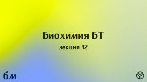 Биохимия БТ, лекция 12, Носов Г. А., 30.04.2026