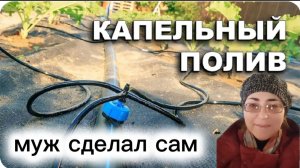 Правдивая Наталья представляет Капельный полив своими руками