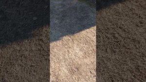 1000029246.mp4