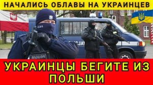 Украинцев начали Депортировать из Польши и отдавать в ВСУ❗(Одесский Бродяга))