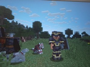 Играю в Minecraft
