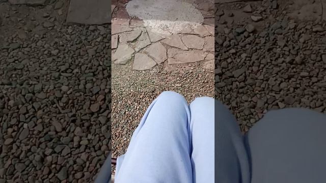 1000018415.mp4 смотреть онлайн