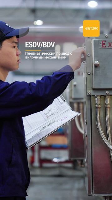 ESDV(BDV) Пневматический привод с вилочным механизмом-BIGTORK VALVE AUTO MATION