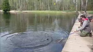 Если актив, то на железо. Клёвое место, Лосиный остров, нижний водоём.
