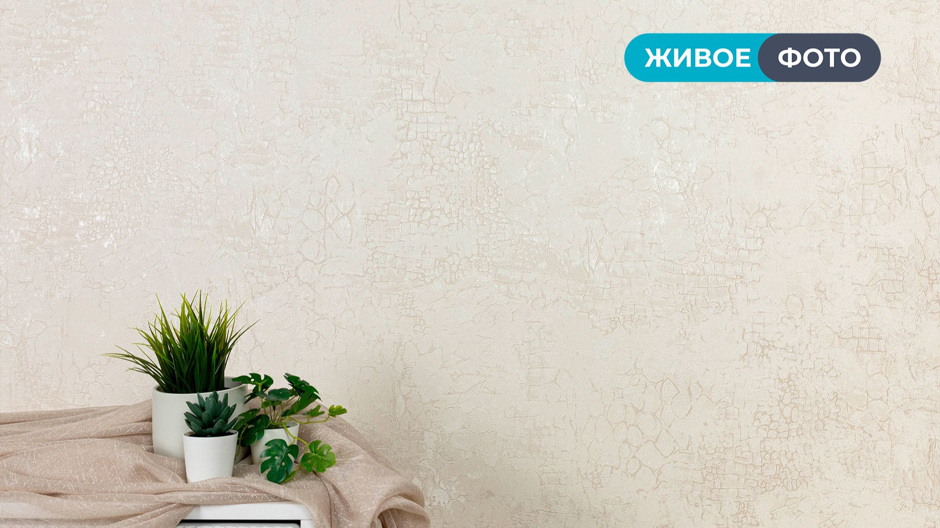Софт 70725, 70726 смотреть онлайн