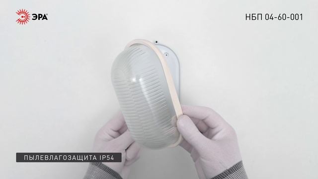 Светильник ЭРА НБП 04-60-001