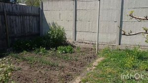 Урааа! Потеплело!