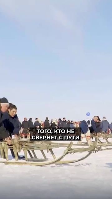 📍Как в тундре дрессируют оленей
