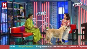 Юлия Любушкина и Пепси. День собачьего счастья | УТРО ПЕРВЫХ