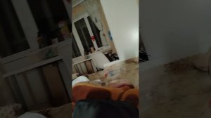 Мой вечер вторая часть❤❤❤💋💋💋