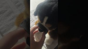 ночной влог)
