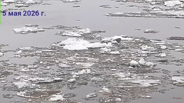 Ледоход на Оби. смотреть онлайн