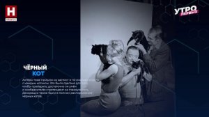 Пушистый кастинг | КТО БЫ МОГ ПОДУМАТЬ?
