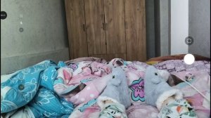 МиНи объЯвлениЯ о ТутОрЕ💗😘