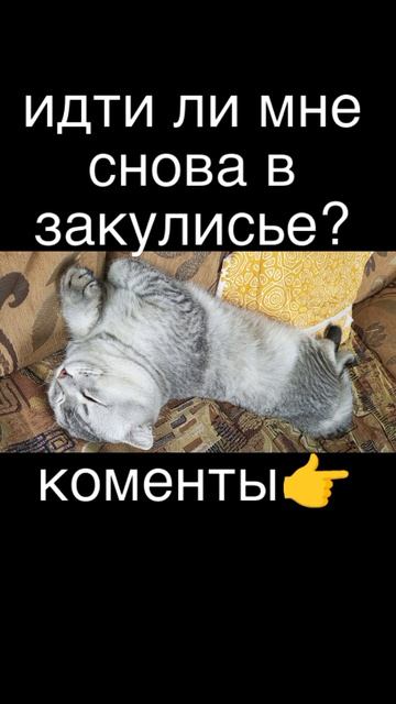 я готов... смотреть онлайн