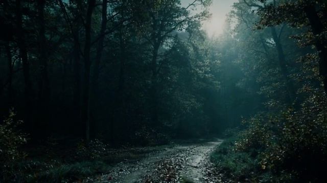 video_Великий Гетсби-7