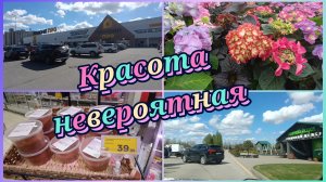 Как много хочется.Остатки не хочу покупать