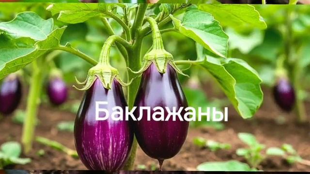 Болгарский перец: с кем дружит, а кого НЕНАВИДИТ 😱 Урожай зависит от этого!