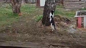 Изменения в природе!