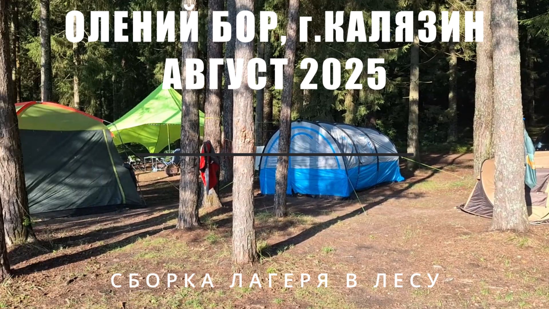 Олений бор, г.Калязин - сборка лагеря в лесу - август 2025 г.