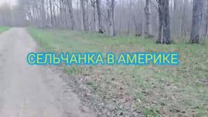 Сельчанка в Америке НЕОЖИДАЛА ТАКОЕ НАЙТИ В ЛЕСУ