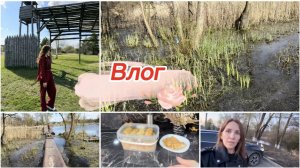 Влог, как прошли выходные