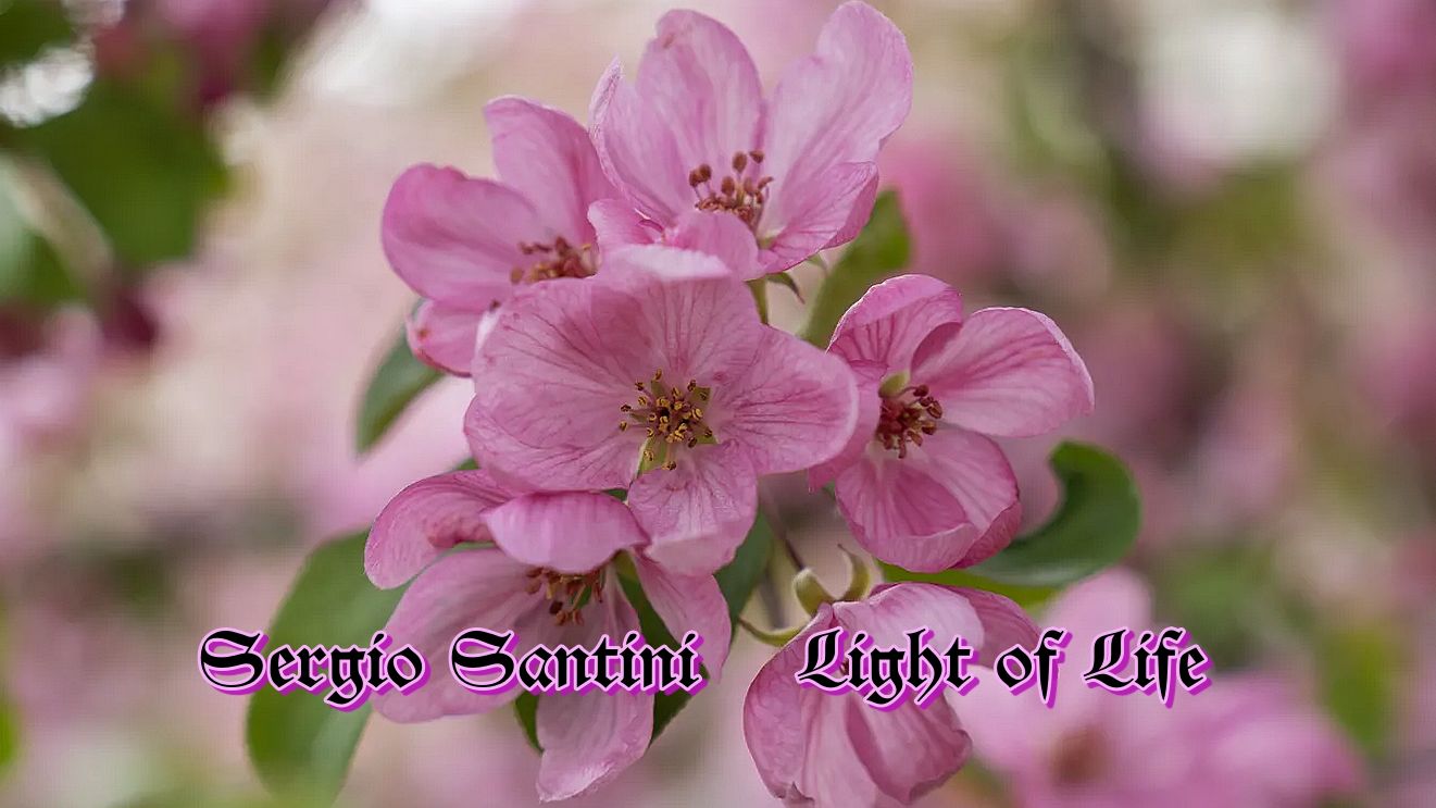 Sergio Santini  *   Light of Life