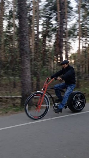 Веломотоцикл, проехался по лесу.