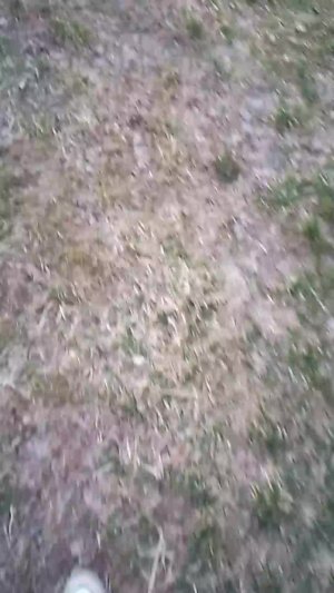 играю в прятки