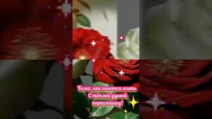 YouCut_20260505_163505289.mp4