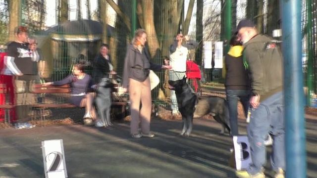 Омская Дружина Эльфийский Клинок смотреть онлайн