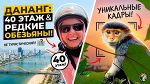 Другой Дананг: честный отзыв о районе Ми Ан и дикая природа полуострова Сон Тра