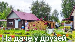 У друзей на даче . Воспоминание о лете 2025 г