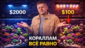 Почему многие переплачивают за свет для рифа