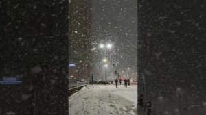 ФЕВРАЛЬСКИЙ ВАЛЬС