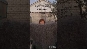5 04 26 Пуховые платки,пледы,косынки,жилетки, пончо,варежки,пояс,наколенники