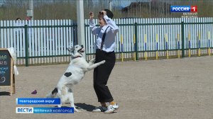 ГТРК СЛАВИЯ Танцы с собаками 05.05.26
