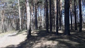 Почему так трудно похудеть? Возраст дожития.