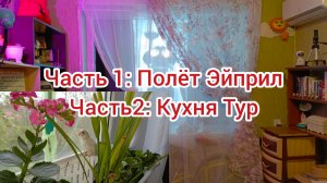 Первый вылет попугая из клетка |Шторы творят чудеса, Апгрейд балкона.