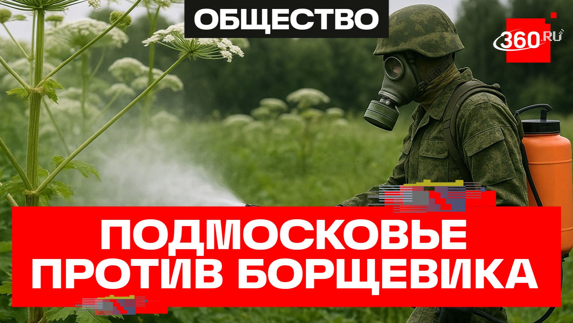 Как помочь экосистеме Курской области в борьбе с борщевиком