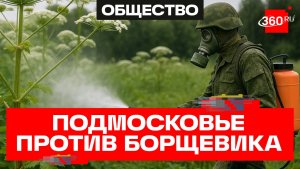 Борщевику объявили войну: первый этап борьбы с опасным сорняком стартовал в области