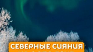 Северные сияния на фото ярче, чем в жизни?