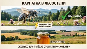 Карпатка в лесостепи: сколько даст мёда и стоит ли рисковать? Отвечает Кашковский 🌾🐝