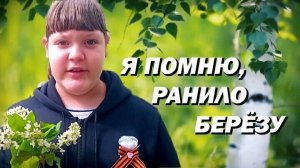 Я ПОМНЮ РАНИЛО БЕРЁЗУ. Стихи Сергей Александрович Васильев; читает Анна Прыткова