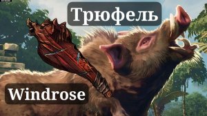 КОМПАНЬОН ТРЮФЕЛЬ В WINDROSE