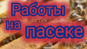 Работы на пасеке 🐝