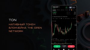 Что происходит с TON?  Как получить +3000 WW Points? Итоги недели GENUMM от 4 мая 2026
