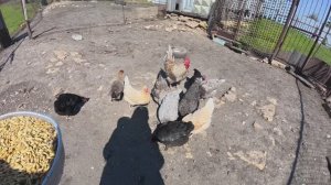 ПОВЕЗЛО, ЗАБОТЛИВЫЙ МУЖ ПОПАЛСЯ!