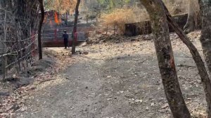 Мы едем в Брахмапури и наше путешествие продолжается. Не забываем заехать и в Патешвар.